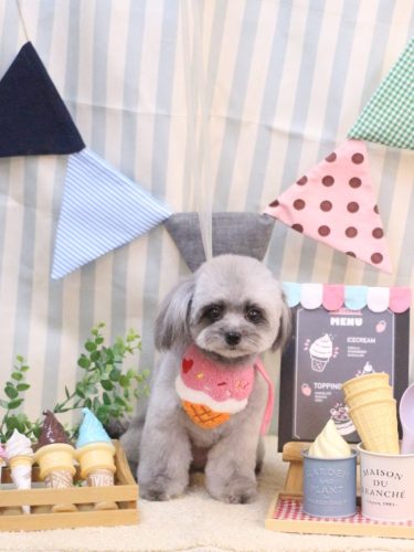 20250501べにちゃん